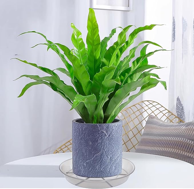 6 Pack Plant Saucer Drip Tray 16 inch, Potting Trays for Plants, Heavy Sturdy Plastic Planter Flower Pot Saucers for Indoor Outdoor Garden, Plant Water Drip Trays for pots (16", Grey)