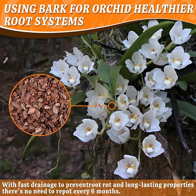 AVALUTION Orchid Potting Bark-3QT Organic Orchid Bark for Plants, All Natural Pine Bark Wood Chips for Houseplant Mulch, Orchid Plants Root Development, Mulch for Potted Plants