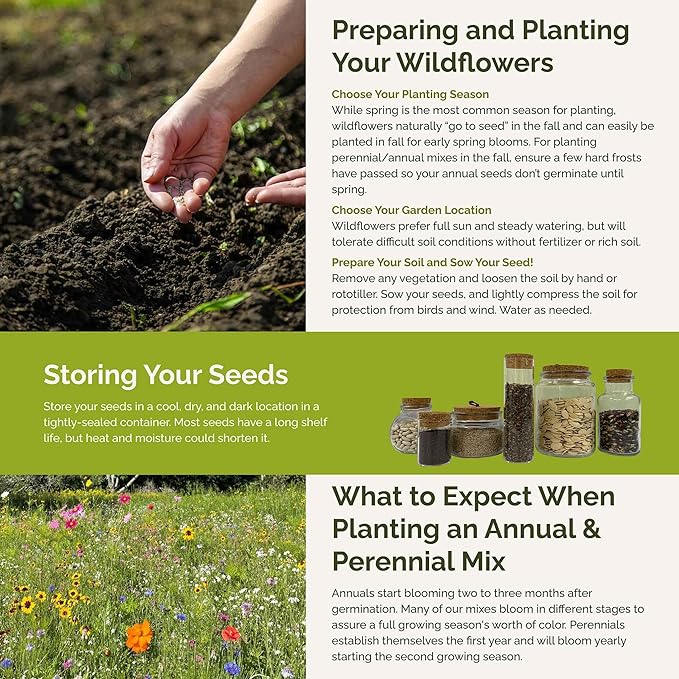 Eden Brothers Kentucky Wildflower Mixed Seeds for Planting, 1 oz, 30,000+ Seeds with Black Eyed Susan, Cosmos | Attracts Pollinators, Plant in Spring or Fall, Zones