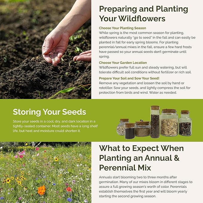 Eden Brothers New York Wildflower Mixed Seeds for Planting, 1/4 lb, 120,000+ Seeds with Coneflower, Cosmos | Attracts Pollinators, Plant in Spring or Fall, Zones