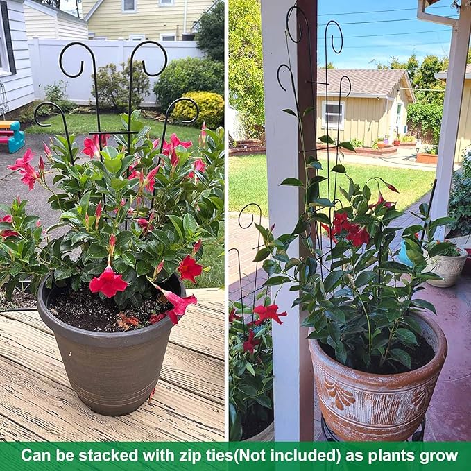 4 Pack 23'' Plant Trellis for Potted Climbing Plants Indoor, Outdoor Metal Garden Trellis for Climbing Plants Houseplants Flowers Vine Ivy, Fan Shape, Black