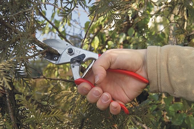 Felco Pruning Shears (F 31) - High Performance Swiss Made One-Hand Anvil Garden Pruners