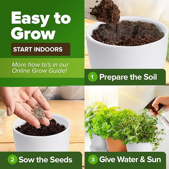 HOME GROWN 30 Herb Seeds Pack | 9,500 Non-GMO, Heirloom Seeds | Indoor & Outdoor Planting | Culinary Herb Seeds Variety Pack | HG30H Perfect for Hydroponic Gardens | Parsley, Rosemary, Thyme & More