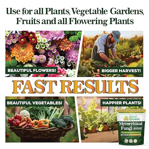 Mycorrhizal Fungi Organic Root Enhancer for Plants, Super Potent 100 Spores Per Gram, 5-Strain Blend, Rapid Results for Gardens, Houseplants, Lawns, Mycorrhizae Smart Grower 125 Grams for 125 Plants