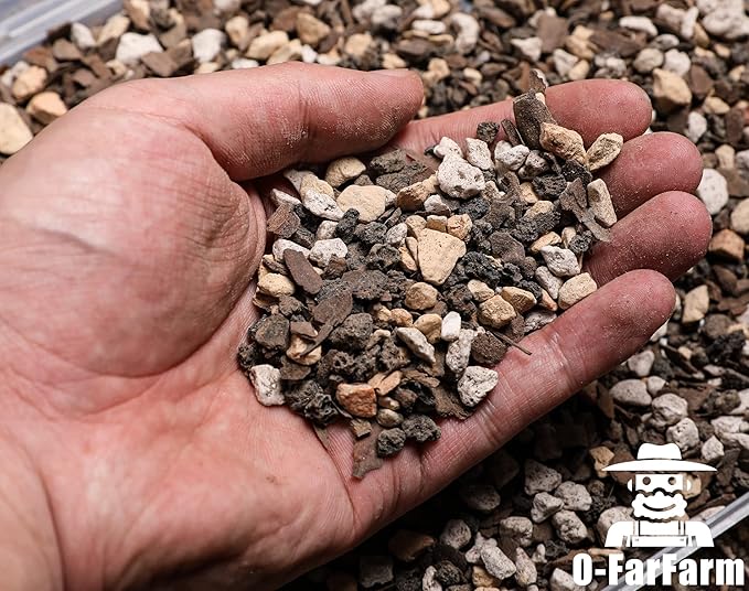 Bonsai Soil Mix Ready to Use 10 qt, Fast Draining All Purpose Potting Soil for Bonsai Tree, Ideal for Root Development, Made from Akadama, Lava Rock, Pumice and Pine Barks