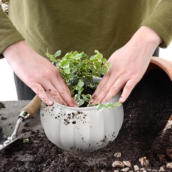 African Violet Self-Watering Ceramic Planter – 6 Inch Pot for Indoor Plants, Succulents, Herbs & Small Houseplants, Simple Self-Watering Design for Home & Office Décor, White