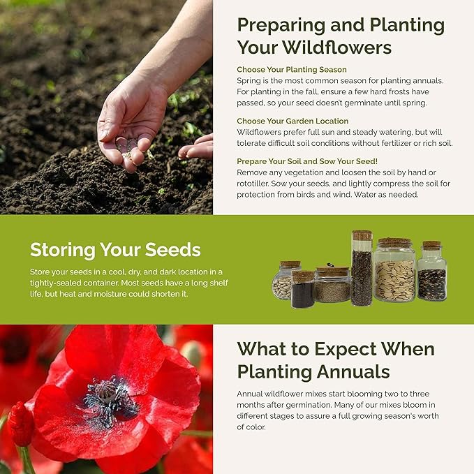 Eden Brothers Fairytale Flower Mixed Seeds for Planting, 5 lb, 2,400,000+ Seeds with Calendula, Cosmos Dazzler, Cornflower, Attracts Pollinators, Plant in Spring or Fall, Zones 3, 4, 5, 6, 7, 8, 9, 10