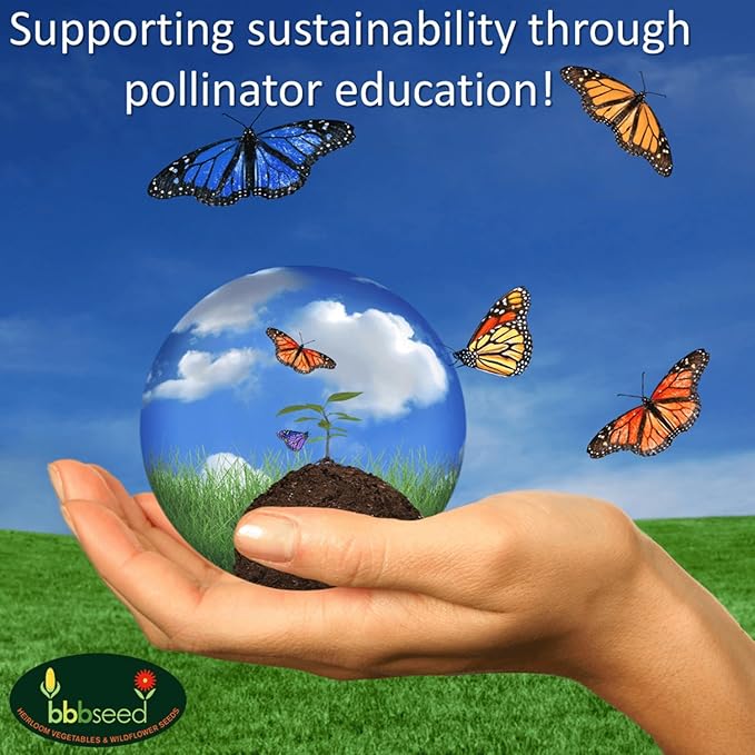 Honey Source Wildflower Seeds Mix for Honey Bees 1oz - Premium Annual and Perennial Flower Seed Mix – Bulk Planting for Pollinator