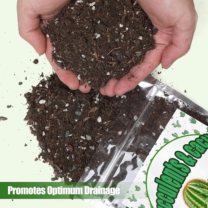 Cactus and Succulent Soil Potting Mix 1qt, Well Draining Chunky Soil Mix for Indoor Plants, Gritty Soil for Healthy Indoor Plants - Spike & Bloom