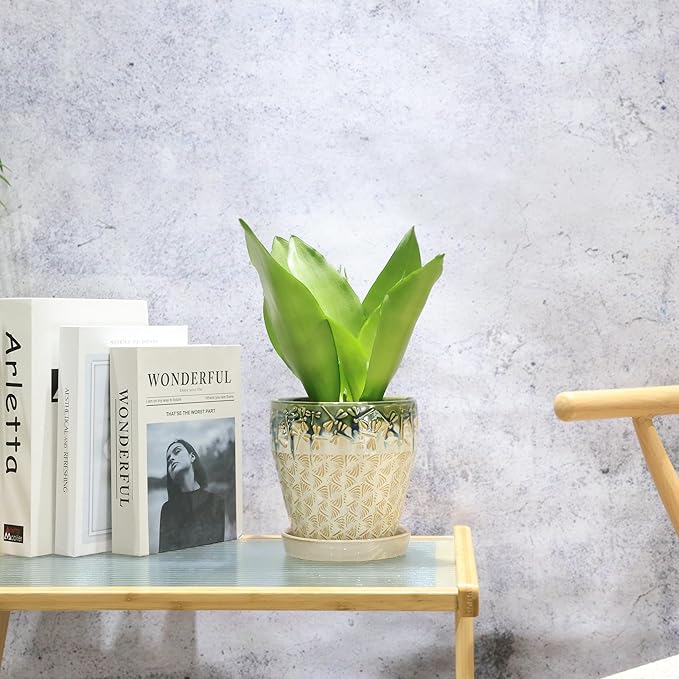 Ceramic Planter Pots for Indoor Plants, 8Inch + 6 Inch Plant Pot with Drainage Holes, Saucers and Mesh Pads, Succulent Orchid Flower Pot -Set of 2