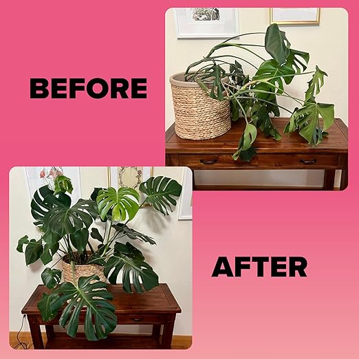 Tropical Houseplant Care Kit – Complete Indoor Plant Health Set with Fertilizer, Probiotic Soil Inoculant, Plant Mister, and Extendable Duster