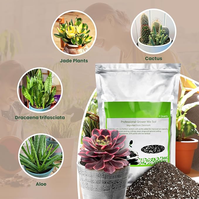 Succulent Cactus Potting Soil Mix (8 qt), All-Purpose Garden Soil for Indoor Outdoor Plants, Quick Drain Houseplant Orchid Bonsai Soil, Ready-to-Use Perlite Soil, Resealable Bag Design
