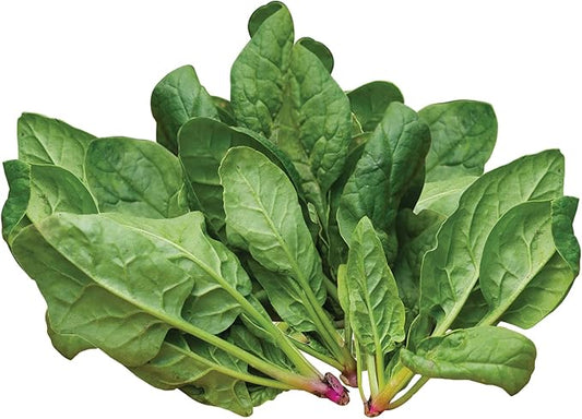 Burpee Space Hybrid Spinach Seeds 300 seeds