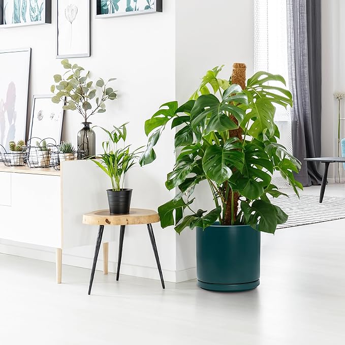 D'vine Dev 10 Inch Ceramic Planter Pot with Drainage Hole and Saucer, Indoor Cylinder Round Planter Pot, Teal, 94-O-E-9