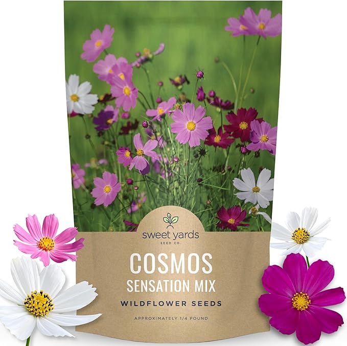 Cosmos Sensation Mix - Bulk 1/4 Pound Pouch - 15,000 Flower Seeds for Planting - Cosmos bipinnatus