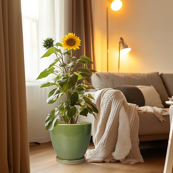 Ceramic Pots for Plants - 10 Inch Planter for Indoor Ourdoor Plants Modern Large Flower Pot with Drainage Hole and Saucer Room Home Office Garden Patio Porch Decor Green