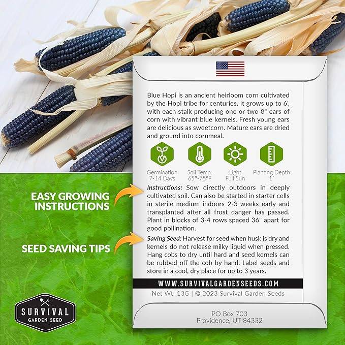 Blue Hopi Corn Seeds for Planting - 1 Packet with Instructions to Plant and Grow Heritage Blue Maize in Your Home Vegetable Garden - Non-GMO Heirloom Variety - Survival Garden Seeds