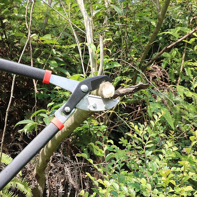 GARTOL Anvil Lopper with Compound Action Branch Cutter, 29.5 Inch Tree Trimmer with 2 Inch Clean Cut Capacity, Cut Through Thick Branches Easy