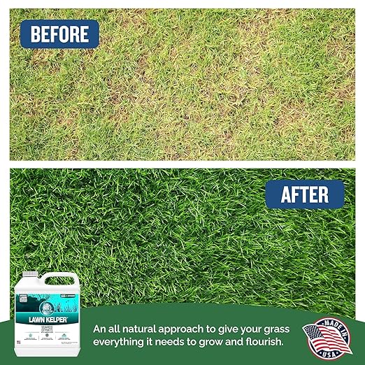 Turf Titan Lawn Kelper - Seaweed Fertilizer for Plants and Lawns - Liquid Lawn Fertilizer Feeds and Protects - Liquid Seaweed Fertilizer for Nutrient Absorption - 1 Gallon