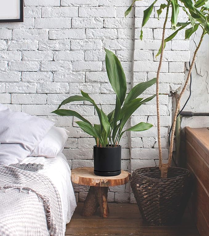 D'vine Dev Set of 2 Plants Pots, 6 Inch Ceramic Planter Pot for Plants with Drainage Hole and Saucer, Black, 94-V-C-2