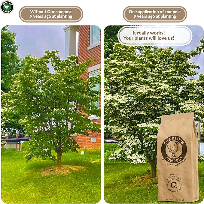 Charlie's Compost - Organic Fertilizer for Home Gardens, Raised Beds, Containers, Natural Soil Amendment with Biochar 10lb