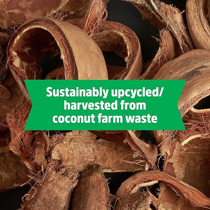 Back to the Roots Organic Seed Starting, Compressed Block expands to 12 Quarts, Made for Herbs, Veggies, Flowers