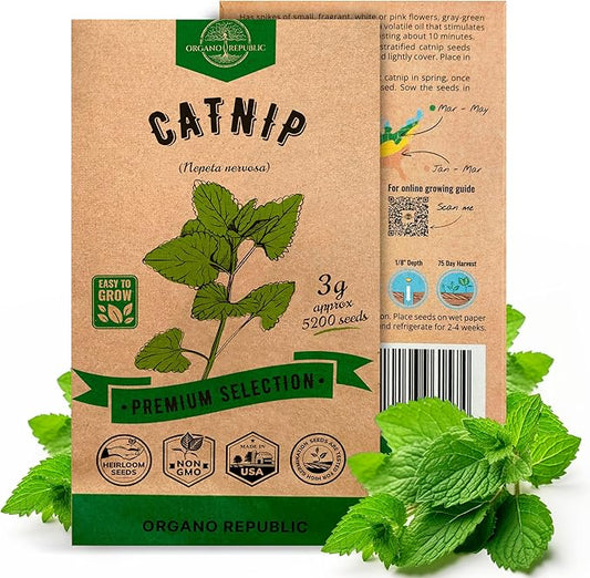Catnip Seeds Pack 3G - Over 5,200 Non-GMO Heirloom Catnip Seeds for Cats in Individual Seed Packet, Seeds for Planting Herbs Indoors & Outdoors, Plants for Cats, Growing Fresh Catnip for Cat Health