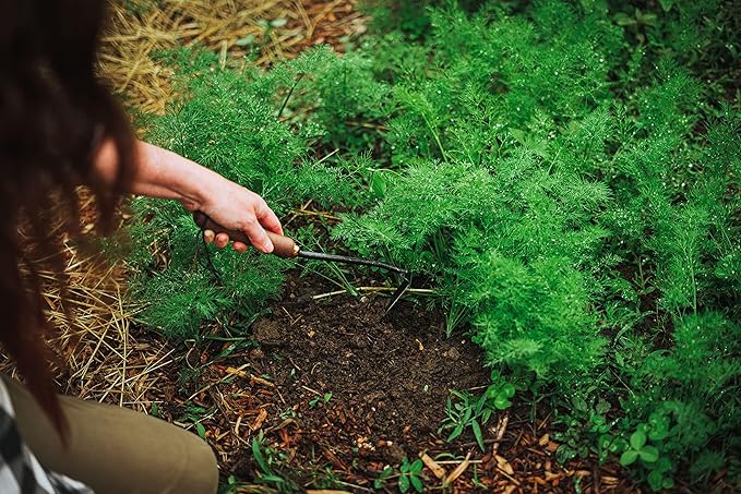 Barebones Japanese Weeding Hoe - Hoe Garden Tool - Durable Stainless Steel Hand Tool for Weeding and Digging (Walnut/Black)