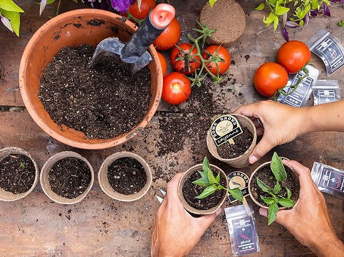 Hapinest Indoor Hot and Spicy Pepper Garden Seed Starter Growing Kit Gardening Gifts for Men and Women - Jalapeno, Habanero, Hungarian Yellow Wax, Ghost, and Cayenne