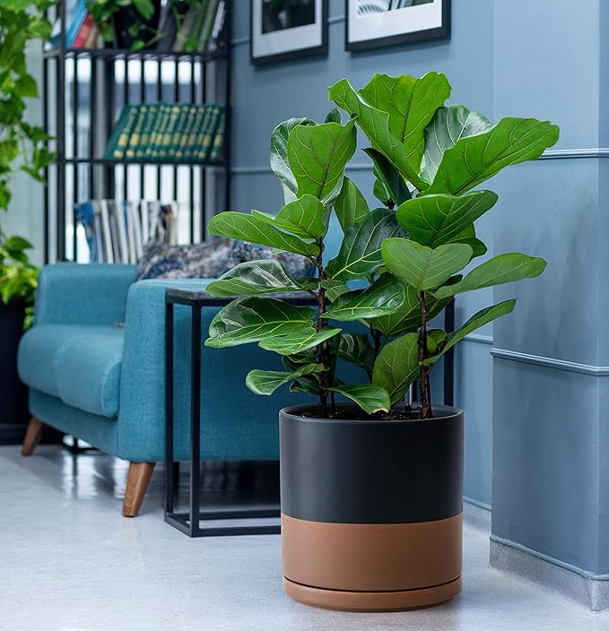 D'vine Dev 10 Inch, Ceramic Planter Pot with Drainage Hole and Saucer, Indoor Cylinder Round Planter Pot, Black/Speckled Tan, 94-O-E-7