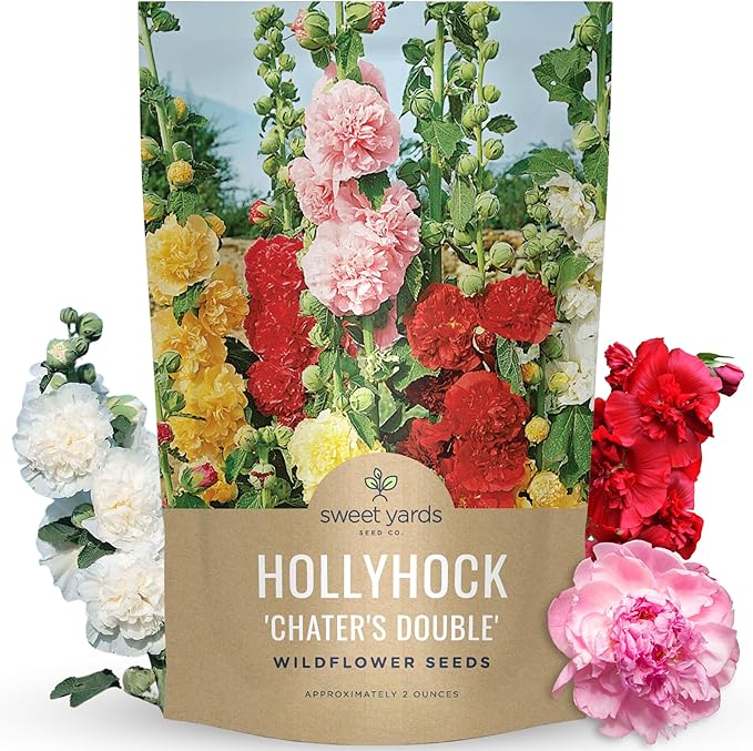 Hollyhock 'Chater's Double' Mix - Bulk 2 Ounce Pouch - 6,000 Flower Seeds for Planting - Alcea rosea