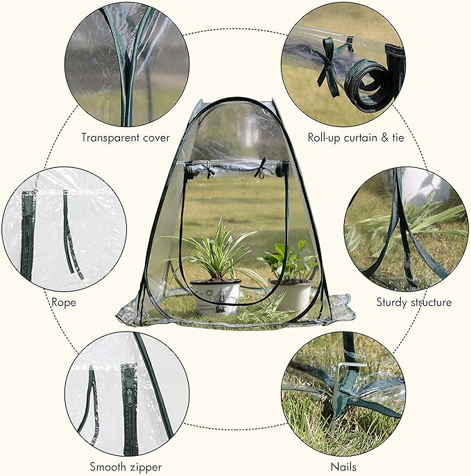 Gardzen 2-Pack 27"x27"x31" Pop up Grow Greenhouse Small Greenhouse, Portable Plant Flowers Mini Green House Cover for Outdoor & Indoor Use