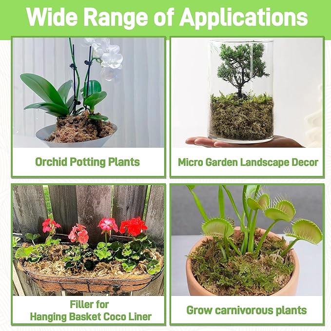 1LB Sphagnum Moss for Plants Indoor, Premium Peat Moss for Reptiles Terrarium-20 Quarter, Natural Long Fiber Orchid Moss for Repotting Propagation Succulent Sarracenia Carnivorous Gardening