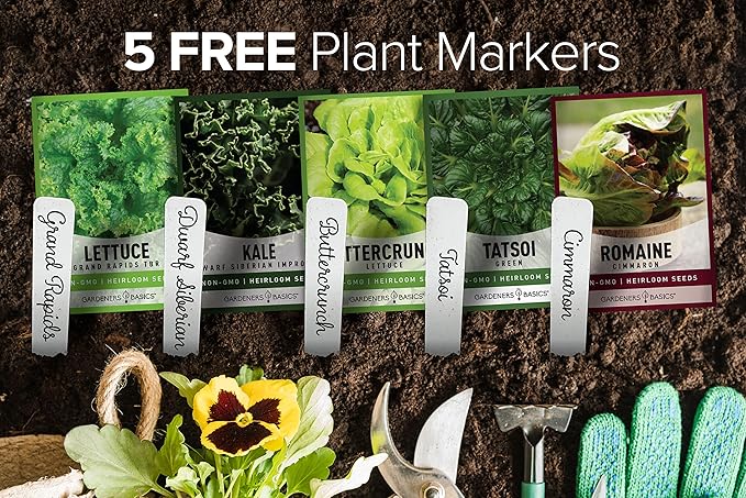 Gardeners Basics, Hydroponic Seeds for Planting Planting Indoors and Outdoor 5 Variety Pack - Tatsoi, Kale, Buttercrunch, Romaine and Loose Leaf Lettuce Seeds
