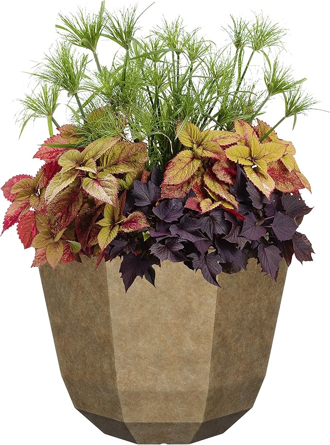 Classic Home and Garden Premiere Collection Planter, Shaina 15", Earth