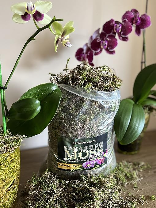 Organic Green Sphagnum Moss for Orchids, Indoor and Outdoor Plants - Dried for Decorative Gardening (Medium Pack - 5 litres / 250 gr / 18 oz)