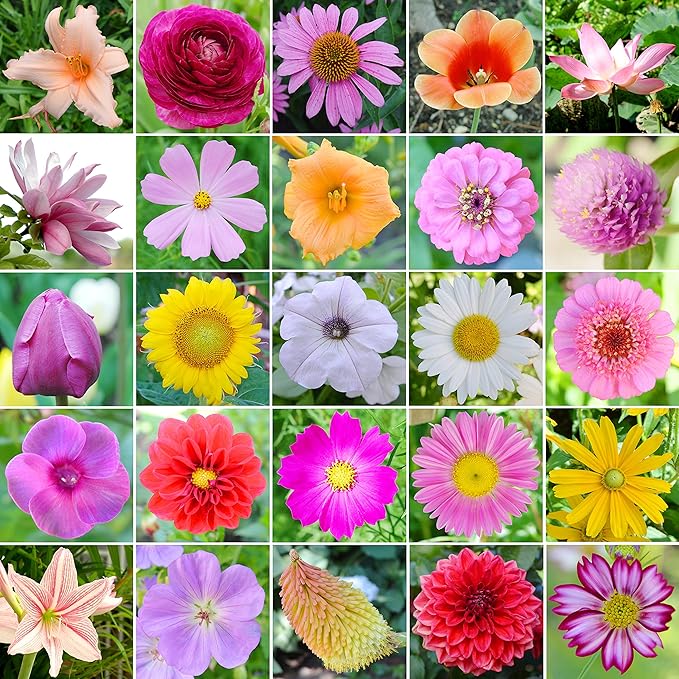 Bee and Butterfly Wildflower Seed Mix, Covers 325 Sq Ft, 16 Flower Varieties, Over 30,000 Seeds - Created By Nature