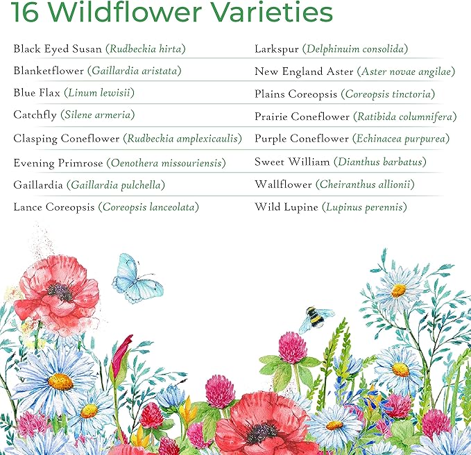 Illinois Wildflower Seed Mix, Covers 325 Sq Ft, 16 Flower Varieties, Over 40,000 Seeds, Created By Nature