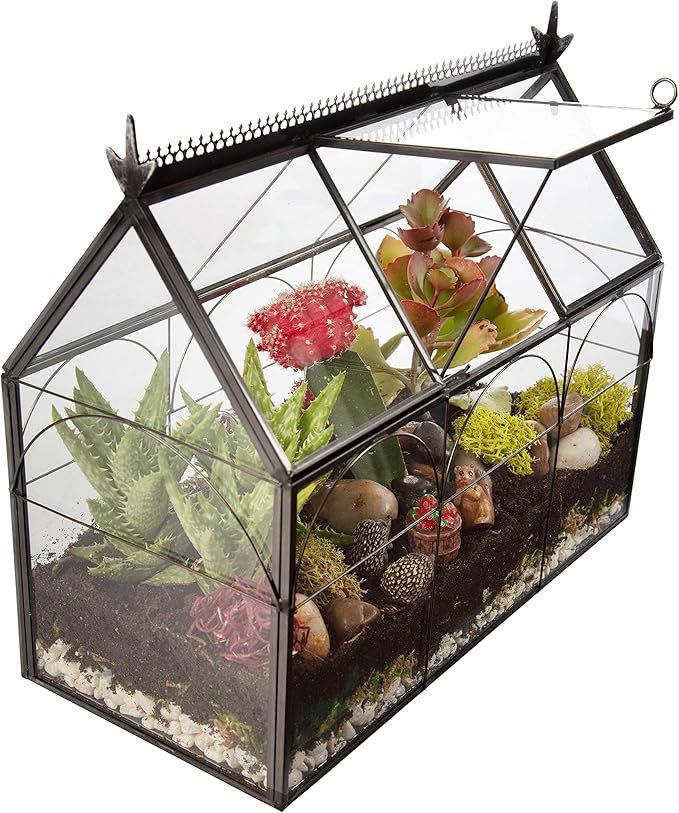 D'Eco Glass Greenhouse Plant Terrarium (10x4.5x9) - Indoor Tabletop Black Hinged Geometric Planter - Succulents, Air Plants, Moss, Fern - Home Garden Office Decor - Gift for Plant Lovers
