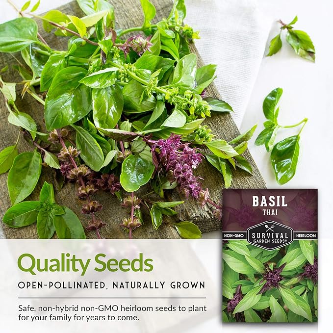 Survival Garden Seeds - 3 Pack Thai Basil Seed for Planting - Seed Packet with Instructions to Plant & Grow Asian Basil Indoors or Outdoors in Your Home Vegetable Garden - Non-GMO Heirloom Variety