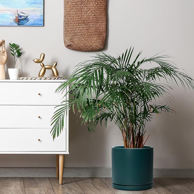 D'vine Dev Set of 2 Plants Pots, 10 Inch Ceramic Planter Pot for Plants with Drainage Hole and Saucer, Teal, 94-V-E-9