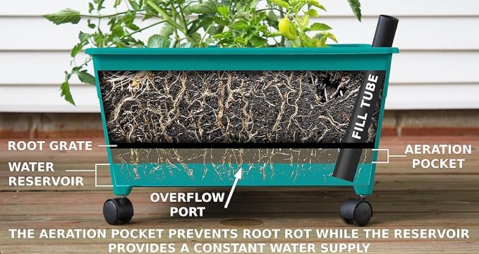 Emsco Group 2360 Little Pickers Raised Bed Children’s Improved Aeration – Mobile Unit with Casters – Teaches Kids Self Watering Grow Box, Teal