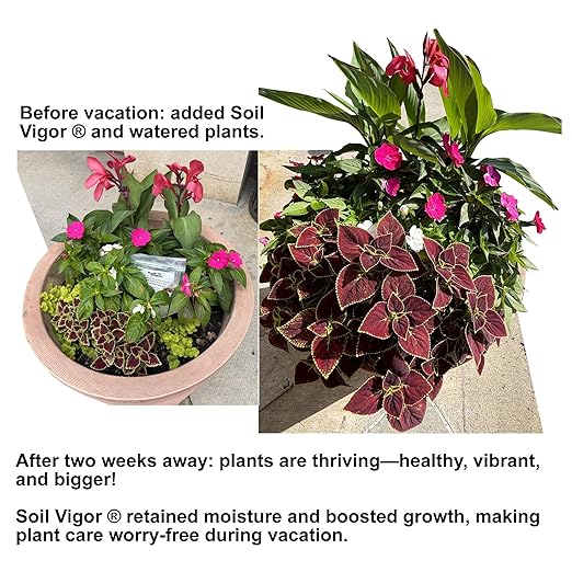 Commercial Grade Super Absorbent Polymer Potassium Based Water Crystal (1 Pound)