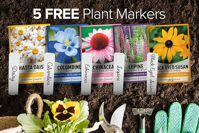 Gardeners Basics, Perennial Flower Seeds for Planting Outdoors (5 Variety Pack) Lupine, Columbine, Echinacea Purple Coneflower, Black Eyed Susan, Shasta Daisy for Pollinators Wildflower Seed