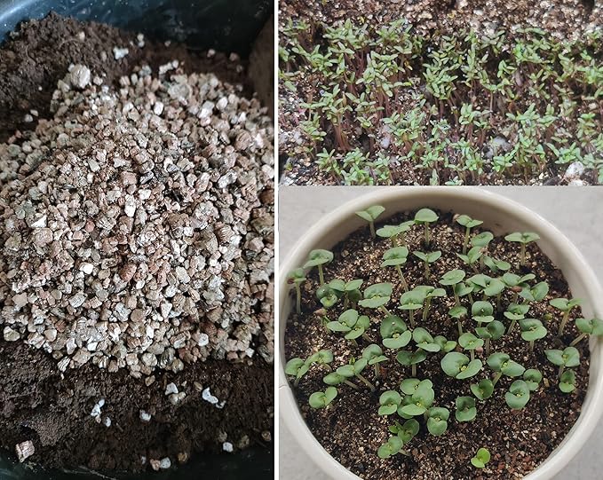 10QT Organic Vermiculite Granules for Plants and Gardening