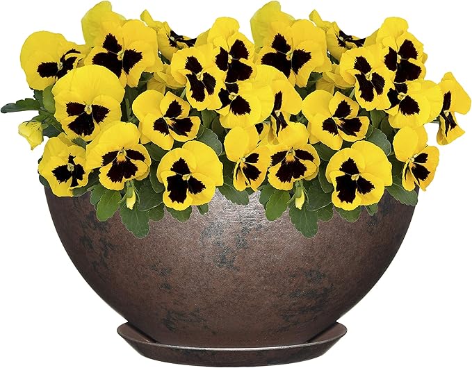 Classic Home and Garden Premiere Collection Planter, Rosie 10", Northern Lights