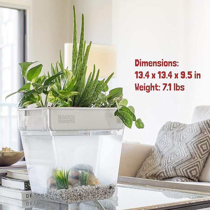 Back to the Roots Indoor Hydroponic Garden - 3 Gallon Self Watering, Mess-Free Planter for Herbs, Microgreens, Bamboo, Succulents, and Houseplants, Green