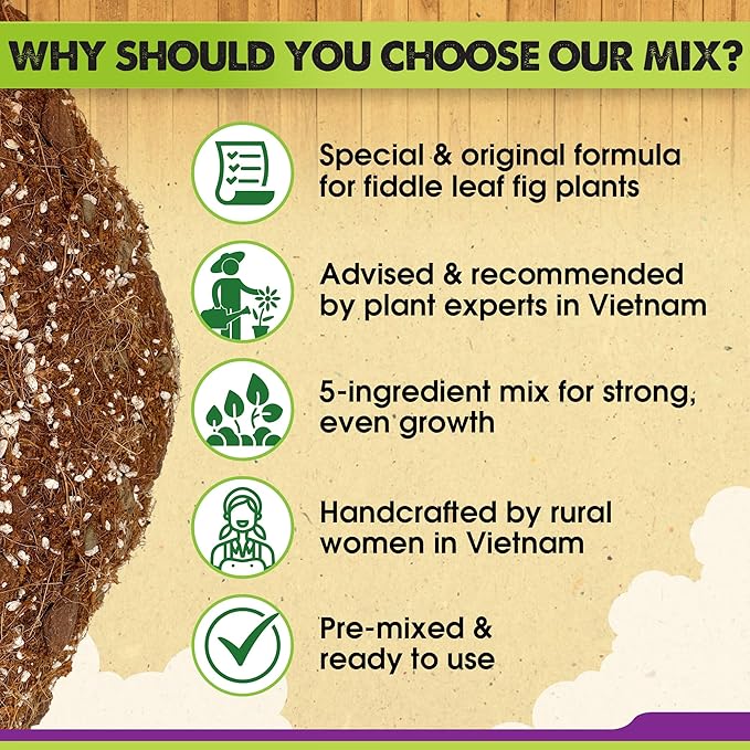 DUSPRO Recycle Fiddle Leaf Fig Soil Specialized for Fiddle Leaf Fig Plant Indoor 5-in-1 Pre-Mixed with Coco Coir, Coconut Fiber, Perlite, Pumice, Pine Bark Ready-to-Use Handmade Mixing Drainage 4 QRT