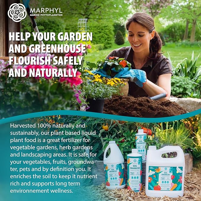 MARPHYL Plant Fertilizer Houseplants and Garden - Marine Phytoplankton Soil Improver and Hydroponic Fertilizer for Grasses, Bamboo, Succulents, & Vegetables - Organic Plant Fertilizer Liquid