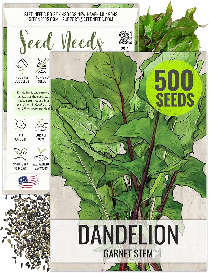 Seed Needs Garnet Stem Dandelion Seeds for Planting - Non-GMO, Heirloom & Untreated Edible Herbs - Organically Grow Your own Food for Tortoises, Rabbits & Bearded Dragons (1 Pack)